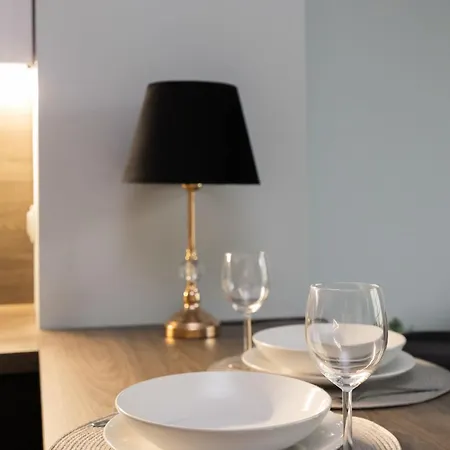 アパート Ogrodowa Elegant With Parking And Air Conditioning In By Renters